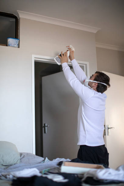 Best Attic Mold Removal  in Ironwood, MI