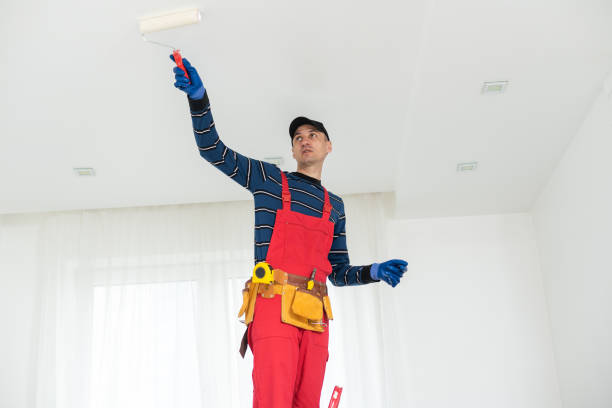 Reliable Ironwood, MI Mold Removal Solutions