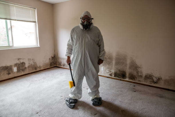 Best Commercial Mold Inspection  in Ironwood, MI